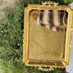 سينية دوغي حجم كبير